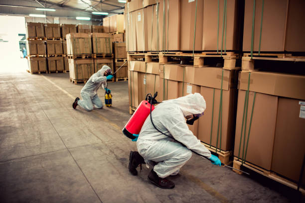 Best Cockroach Control Services  in Waterville, NY