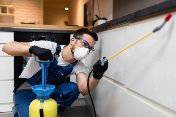 Best Pest Control Treatment  in Waterville, NY