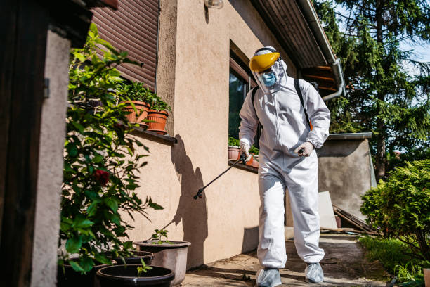 Professional Pest Control in Waterville, NY