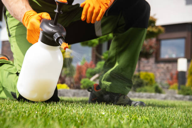 Best Best Pest Control Companies  in Waterville, NY