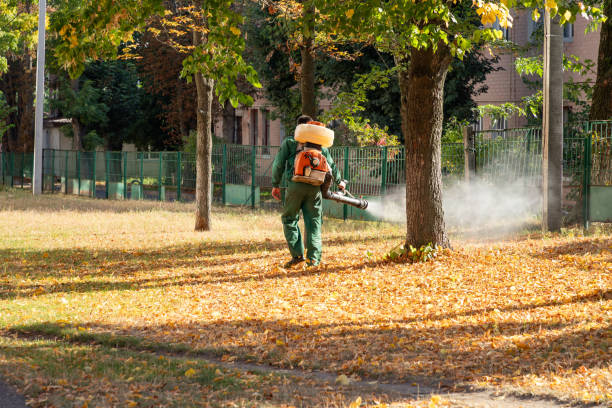 Best Residential Pest Control  in Waterville, NY