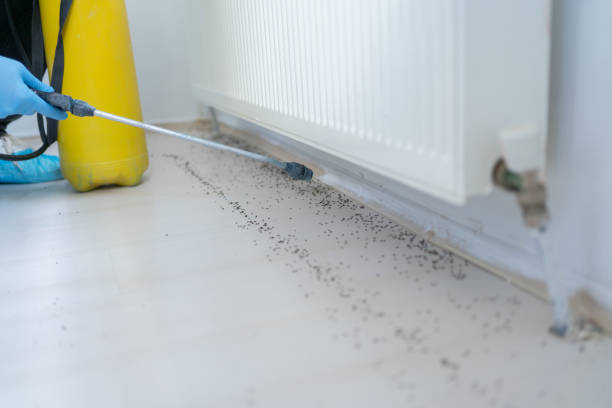 Best Local Pest Control Services  in Waterville, NY